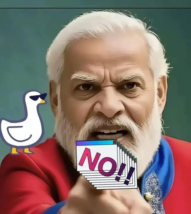 印度总理莫迪已经做出了选择，不论在金砖国家还是上合组织，都不会与广大发展中国家一