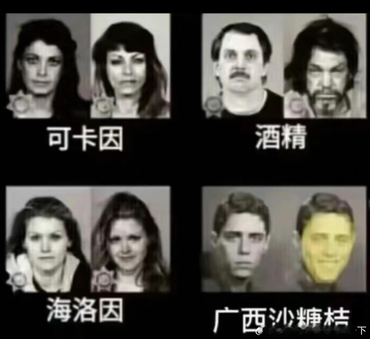 5480笑死我了哈哈哈 ​​​