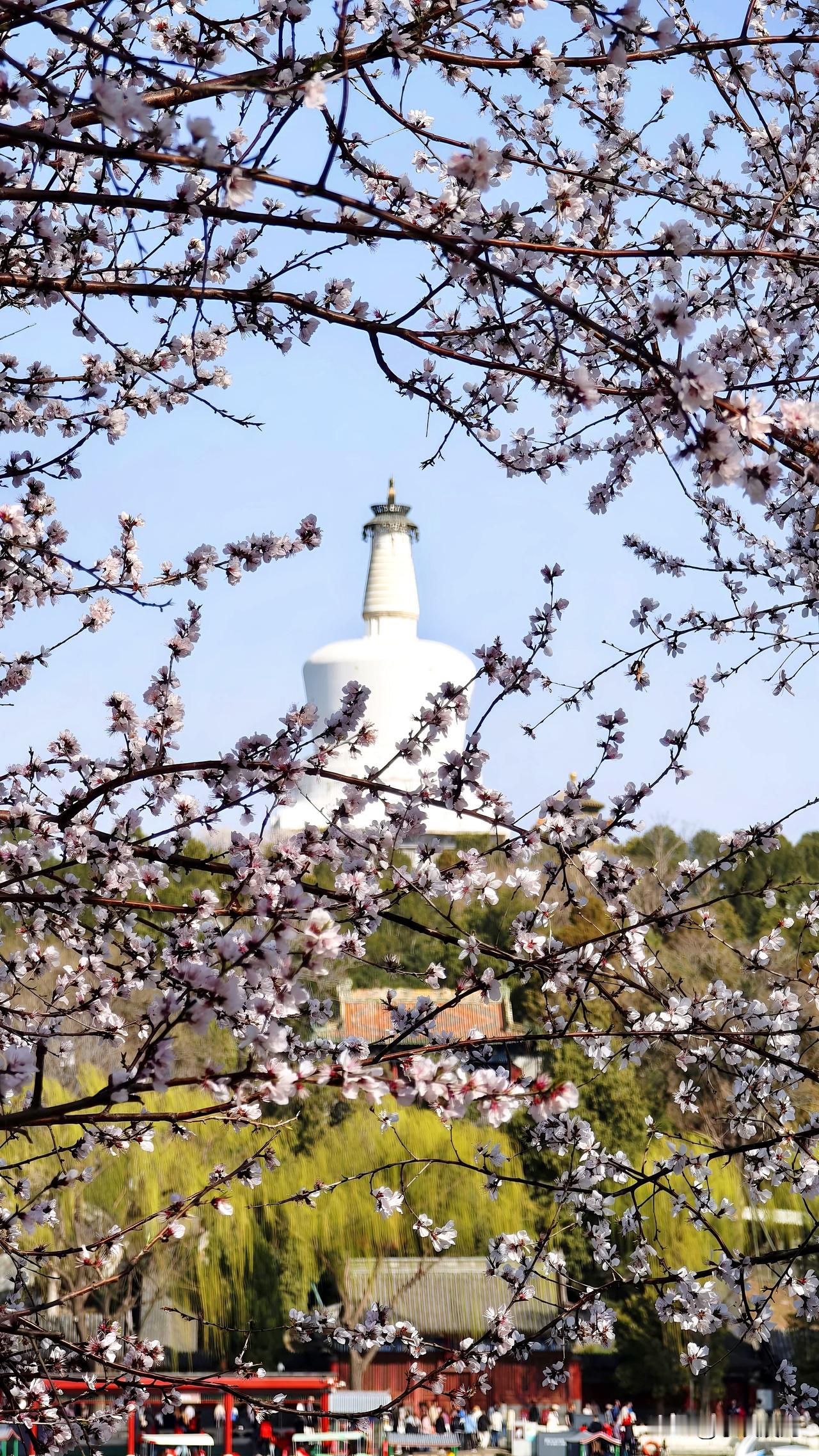 能不能说一个景点，代表你的家乡何止一个景点呢？我可以自豪的说，就生活在皇城根下。