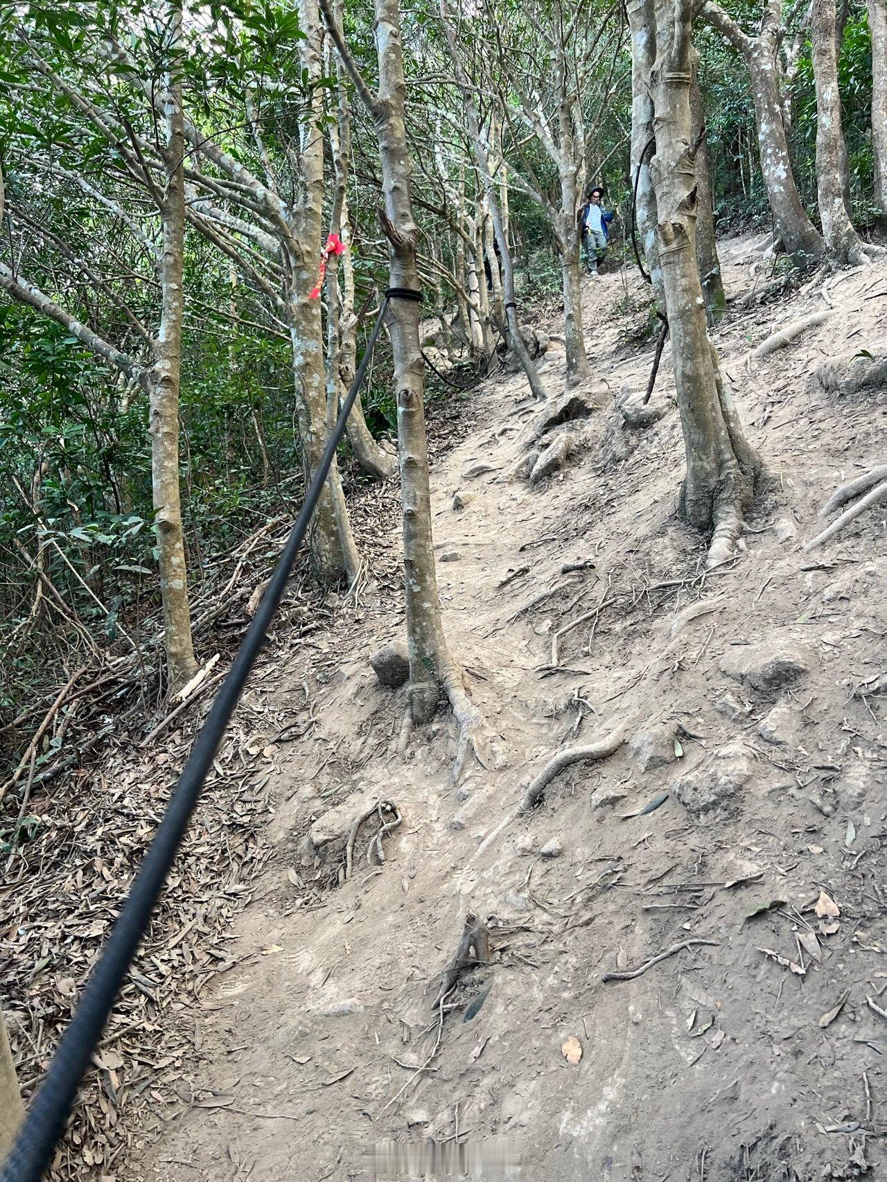 刚看视频，小牟大神（鳌太线那个）又去深圳望郎归了。望郎归现在正常路线封闭状态，去