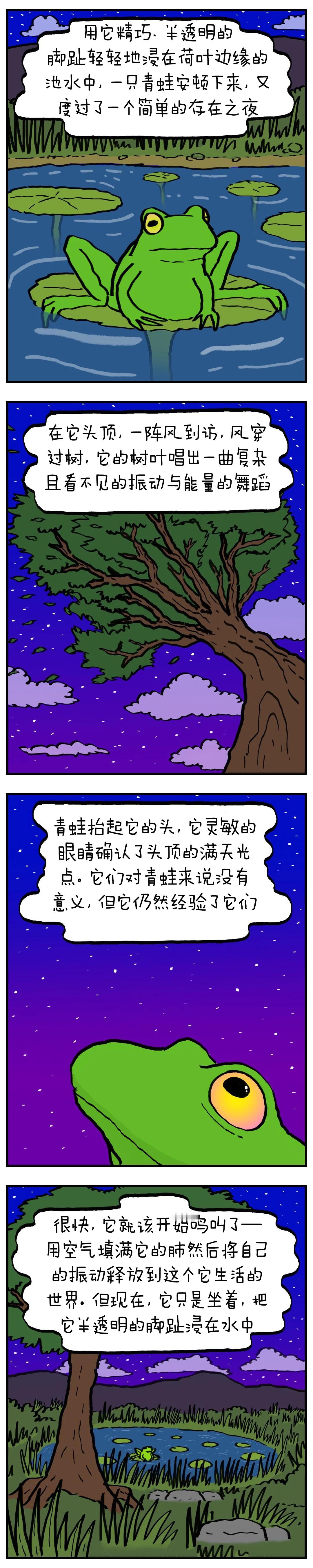 人类终于学会了如何隐身，于是再没有人想被别人看见，我们都独自走在安静而空旷的世界