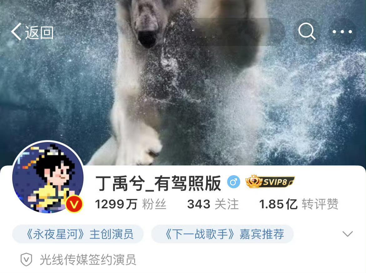 丁禹兮 有驾照版 丁禹兮最近成功获得了驾照，这一消息迅速在网络上引起了广泛关注。