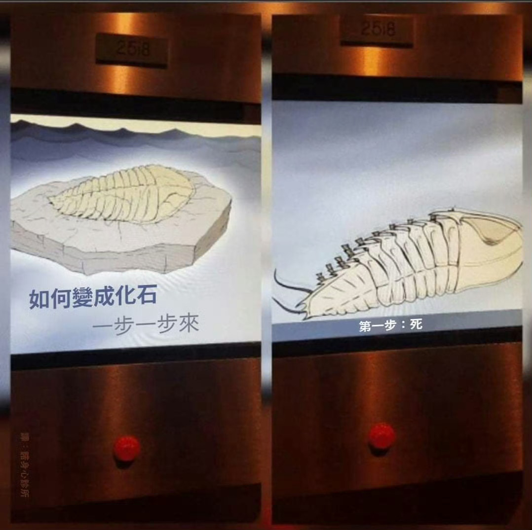 别着急一步一步来 ​​​