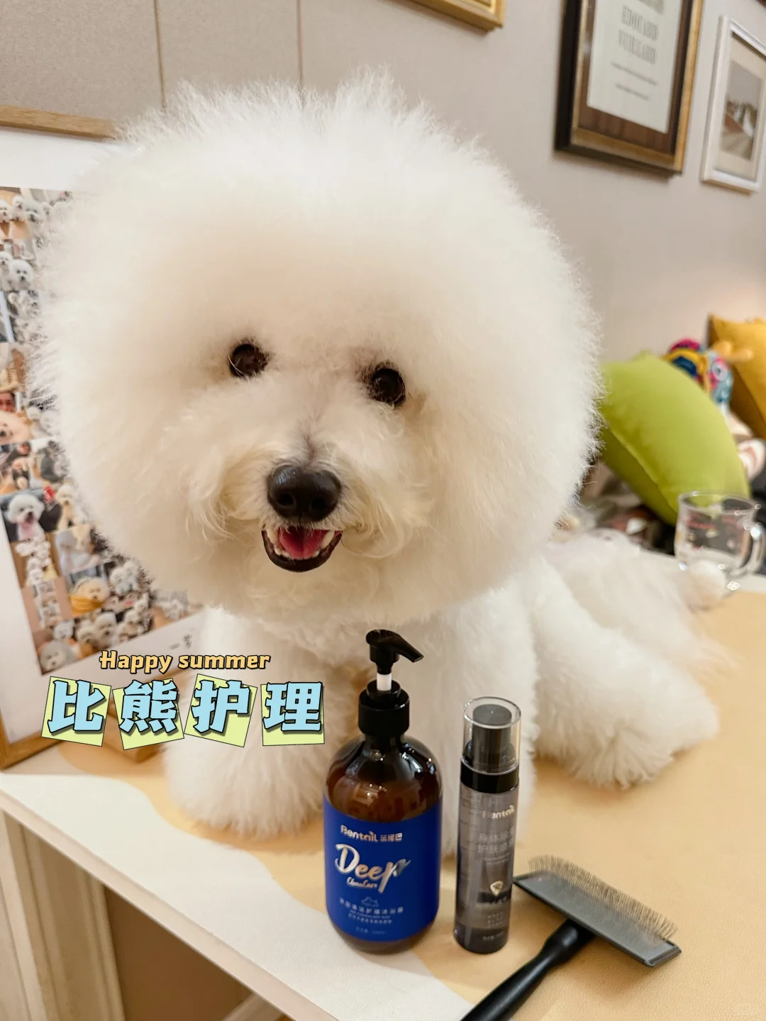 夏日蓬松大作战💪🏻