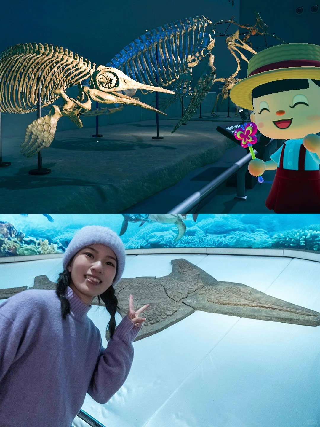 🦕是谁来自贡恐龙博物馆“复刻”动森了呀？Oh是我！ 	 一直很喜欢玩...