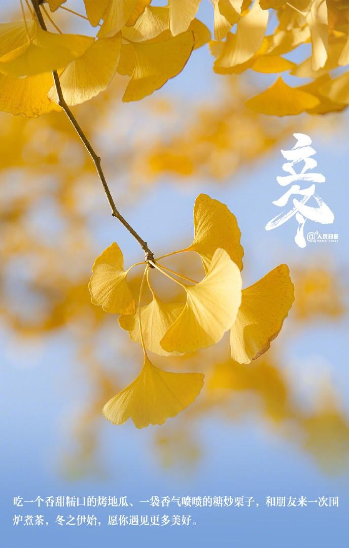 立冬，冬始万物藏。
立冬是二十四节气中的第19个。
空气渐趋干燥，日照时间将继续