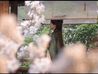 东方坏竹好魅惑天选古人呢…… ​​​