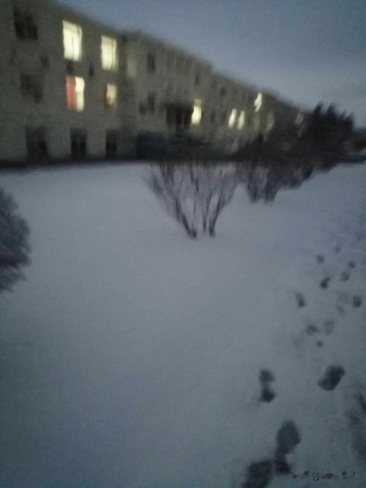 首场雪晨练撞进暖心事：雪地里的热包子，藏着打工人的小确幸❤️
 
今早一推窗，好