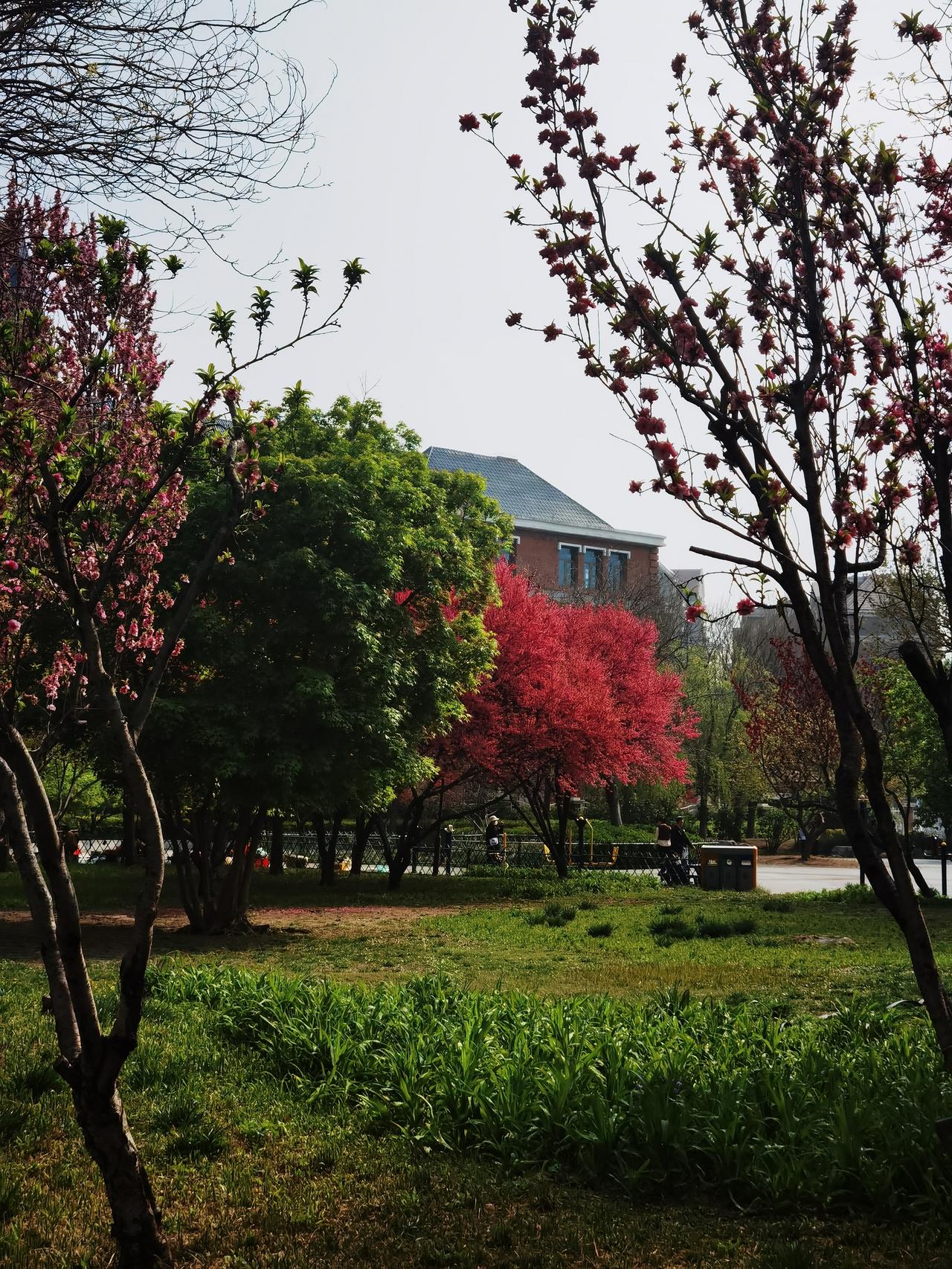 漫步在公园中，看花开花落，总觉得日子过得很快。