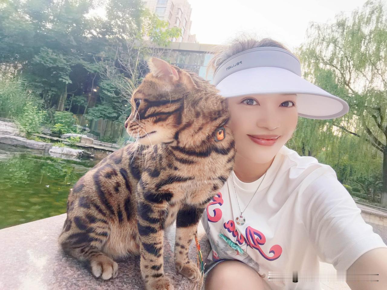 一身腱子肉的健康豹猫
和快乐金渐层不同的是虽然我牵它，可简直就是它带我。
有健康
