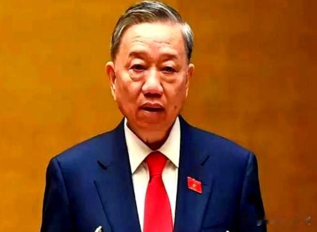 越南宁顺2号核电这事最近又有新动静，日本驻越大使伊藤直树已经公开说，日本不打算继