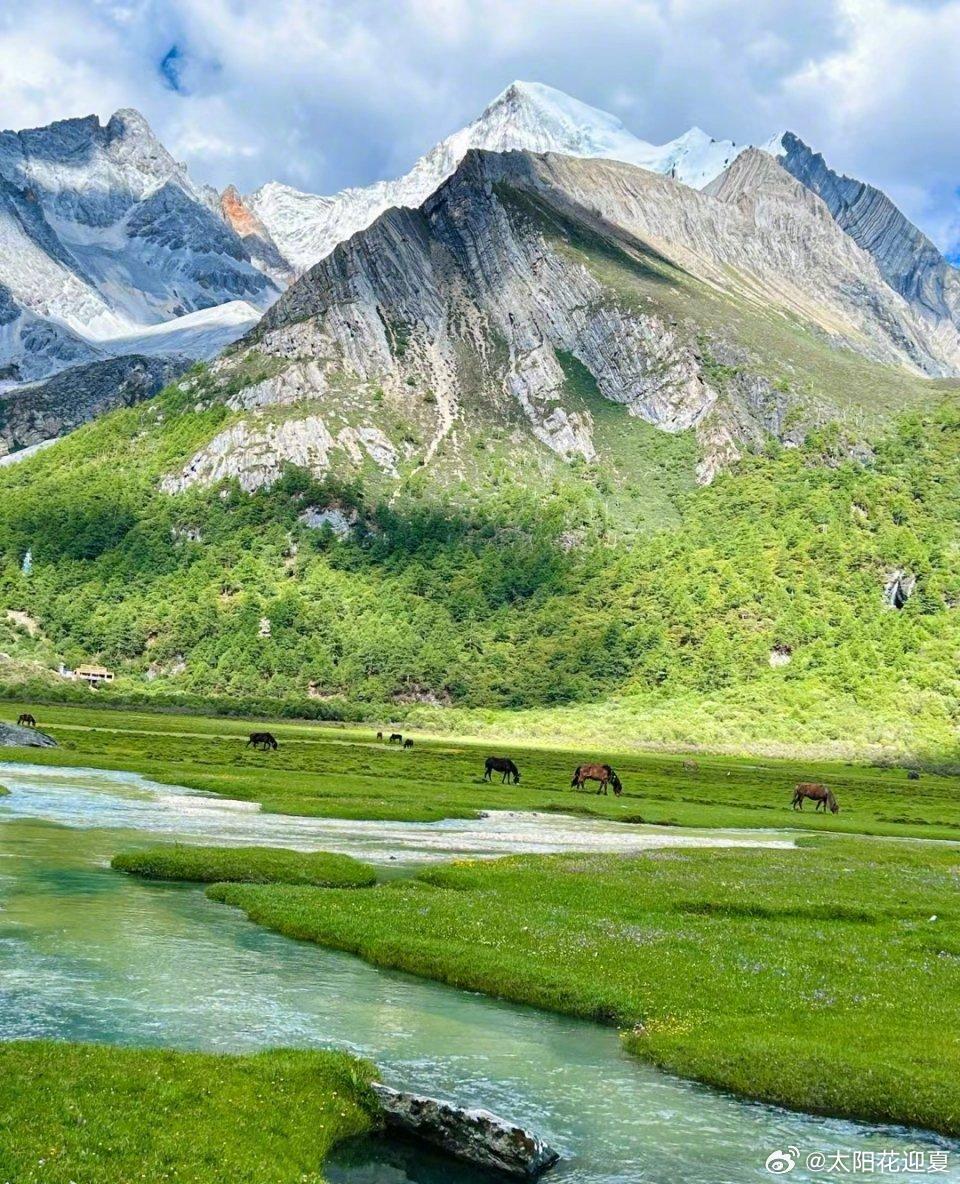 盛夏追光之旅微博旅行ing川西的夏天把浪漫藏在每一处风里，漫山野花顺着山势铺向远