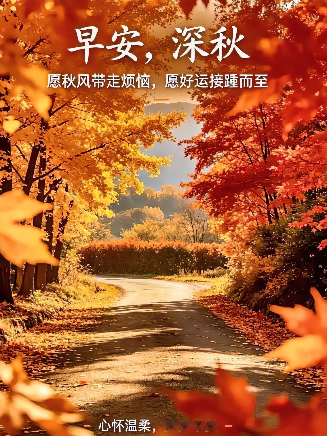 早安深秋！把烦恼丢进风里，好运顺着落叶铺满的小路跑向你～
晒图笔记大赛