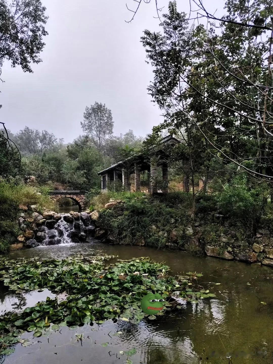 这处林泉小景，像被秋雾揉软的旧画。
 
石砌小桥半掩在草木间，水流撞过岩块碎成细