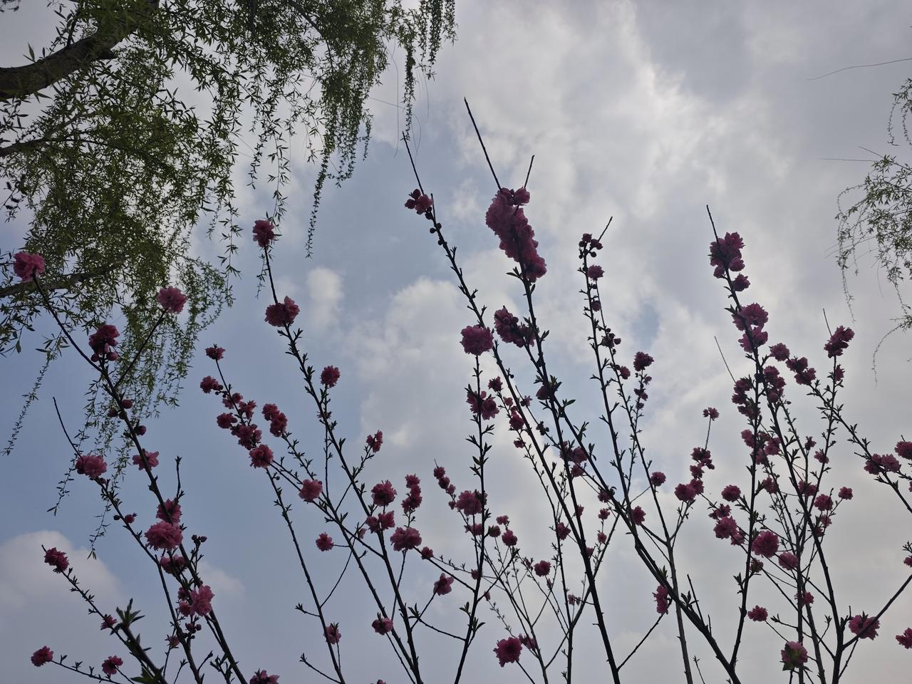 当我看到陈妍希运动时发生意外致跟腱断裂的消息时，心里还是有点紧张的。到底她是做什