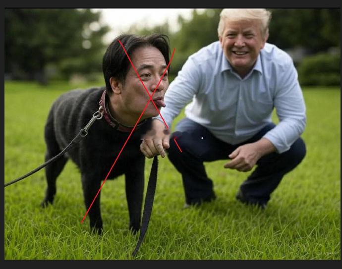 王尚智也是高学历人士了，大陆美院的博士，这个认知水准~~高市早苗自己都不敢以首相