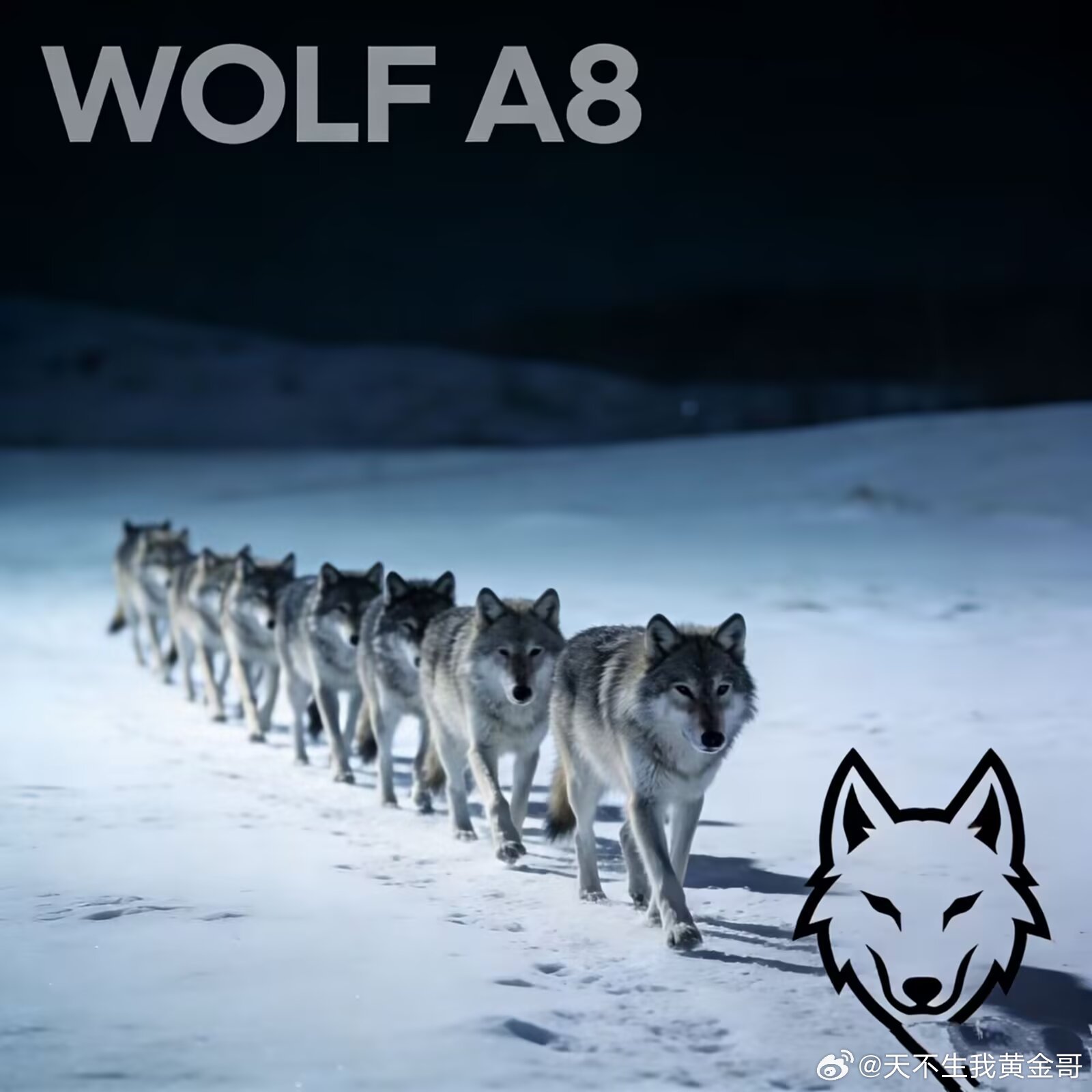 早安，狼群。在加密丛林里：嗅到，就扑上去——机会的气味转瞬即逝。盯紧，咬住咽喉—