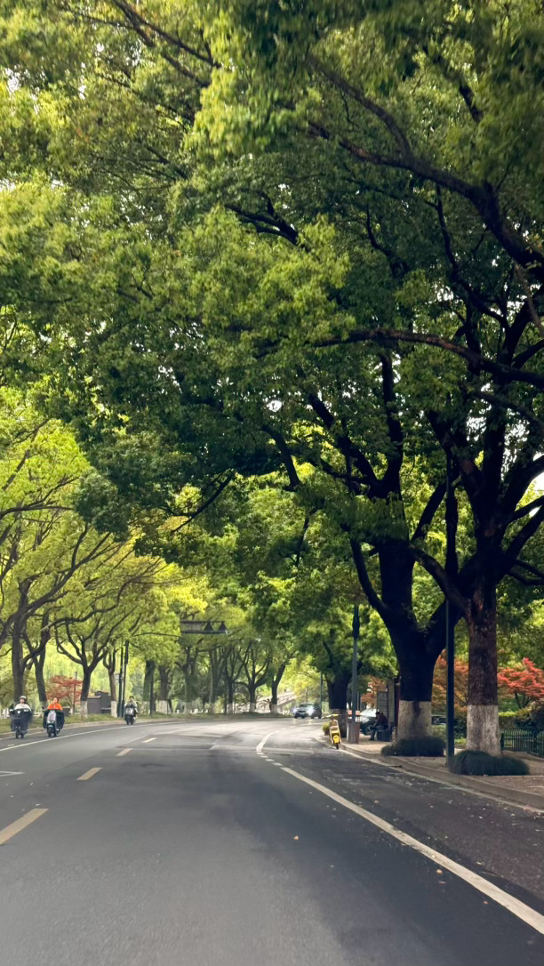 太爱环城西路了