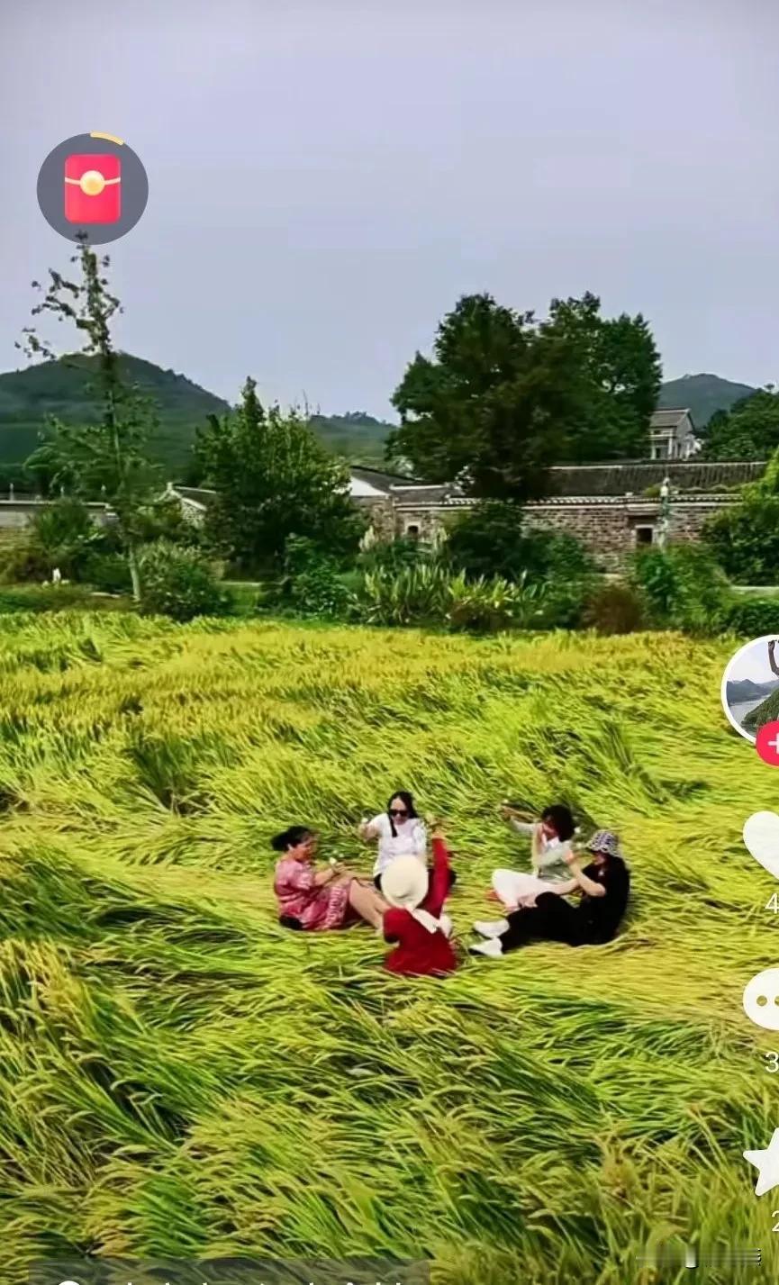 有认识这一帮子“老～娘～们”的吗？

这是我在抖音中刷到的，看的我冒火，我要是手