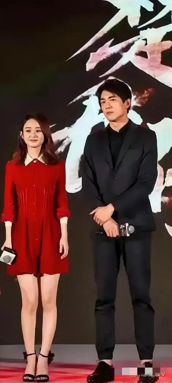 林更新个子太高，赵丽颖个子太矮。
赵丽颖穿了特别高的高跟鞋，才能到林更新的肩膀，