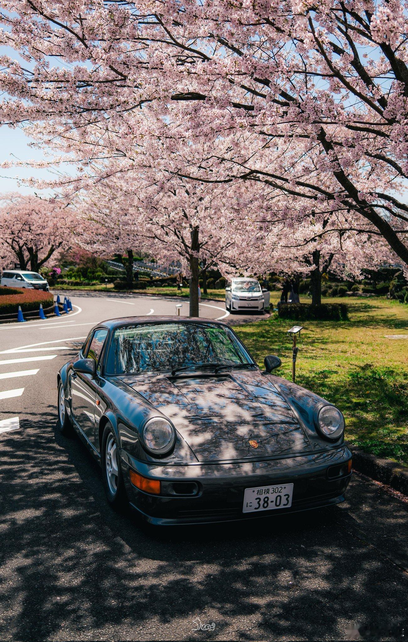 春日里的中国花经济春天一到，车都变得更好看了。把车停在树下，阳光透过花瓣落在车身
