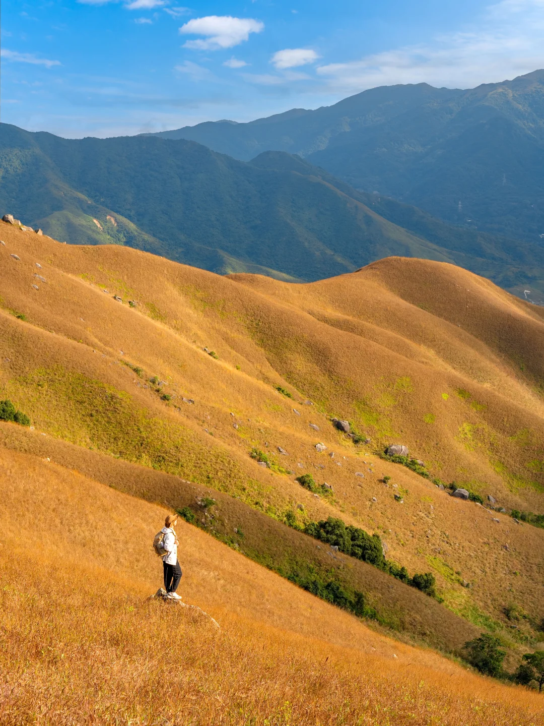 接下来的香港，户外徒步的最佳时期！