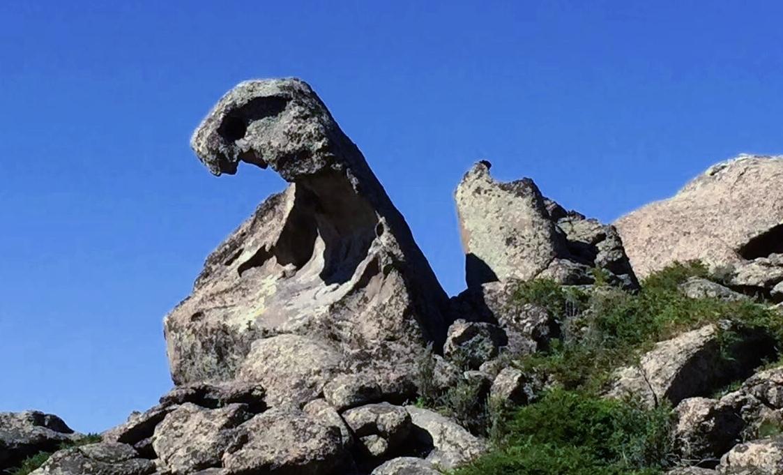 请把自己活成一道光
潇洒且硬气地
穿行在这个世界上
​
​忙碌中也别忘了给自己充
