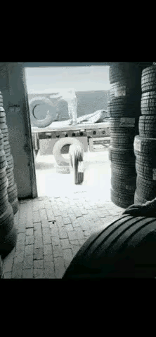 没见过这么乖顺的轮胎～