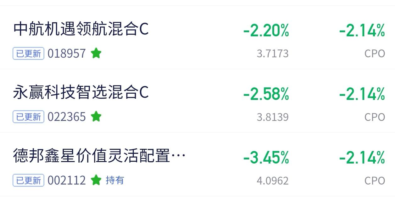 CPO板块日记：🌧️ 阴雨弥布的一天
 
今天市场整体回调力度不小，我观察的几