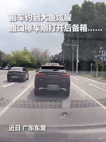 火到人民日报了！广东东莞，路口一前车钓到大鱼炫耀，没想到的是，刚打开后备箱就被秒