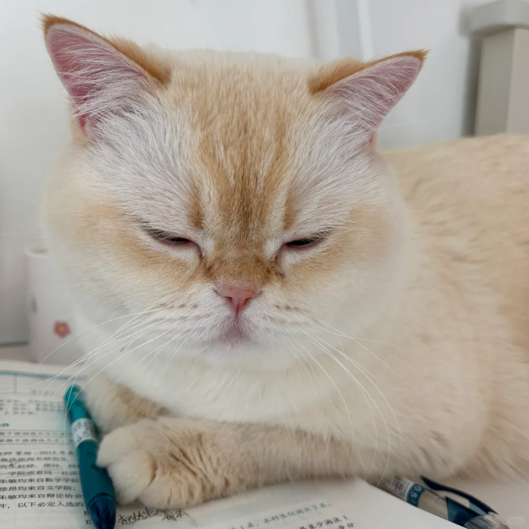 失败乃成功的妈妈 胜利就在眼前