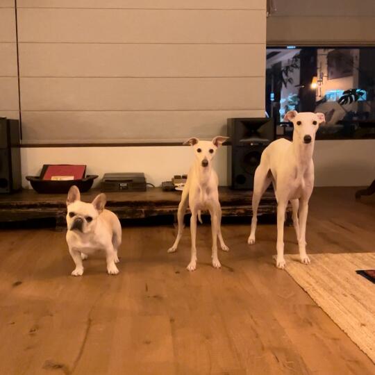 人，想看叠叠乐请右滑➡️