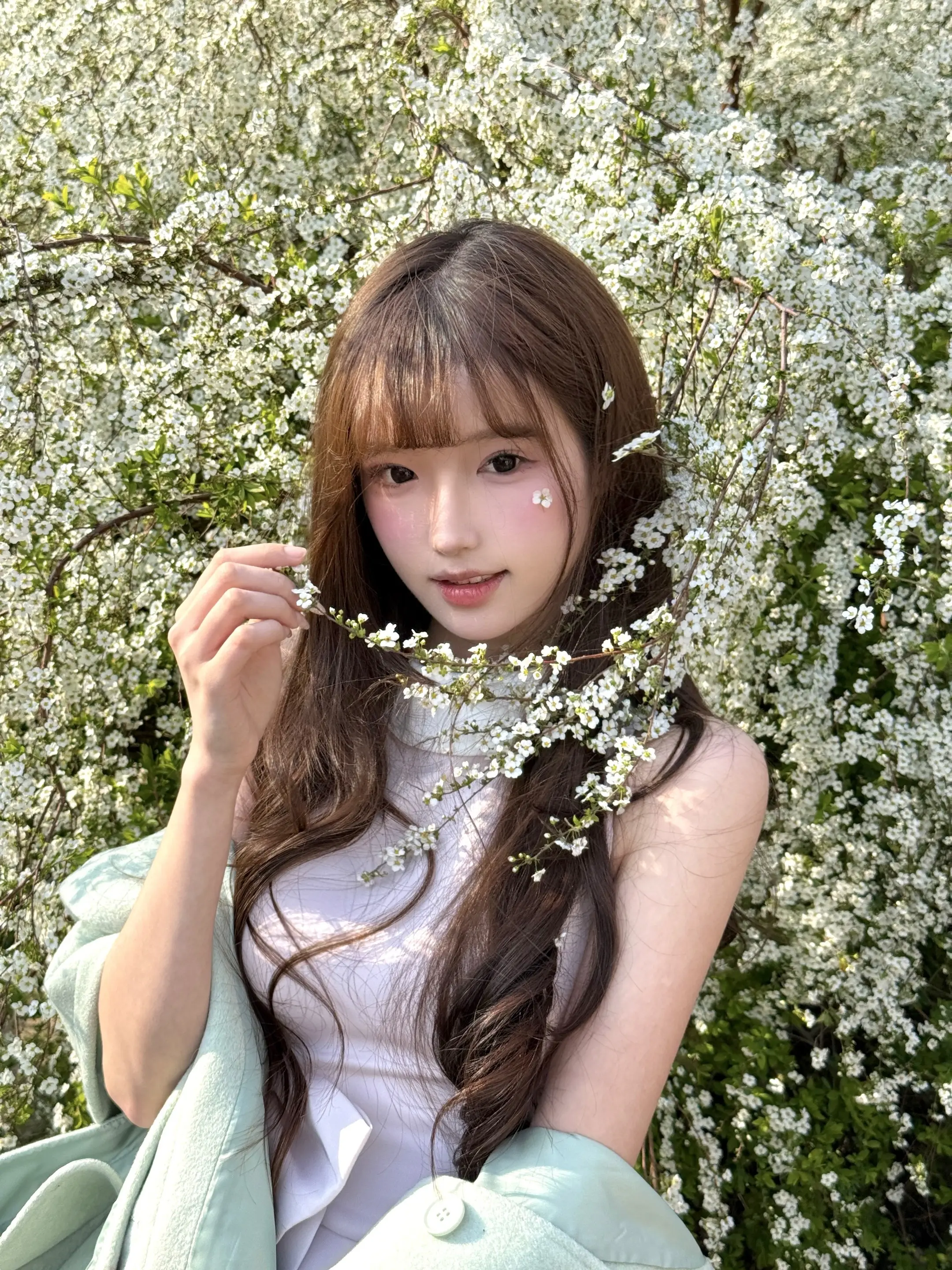 Snow willow𓂃˚ ꕤ.｡🦢。"春天把冬天未落的雪，开成了花"