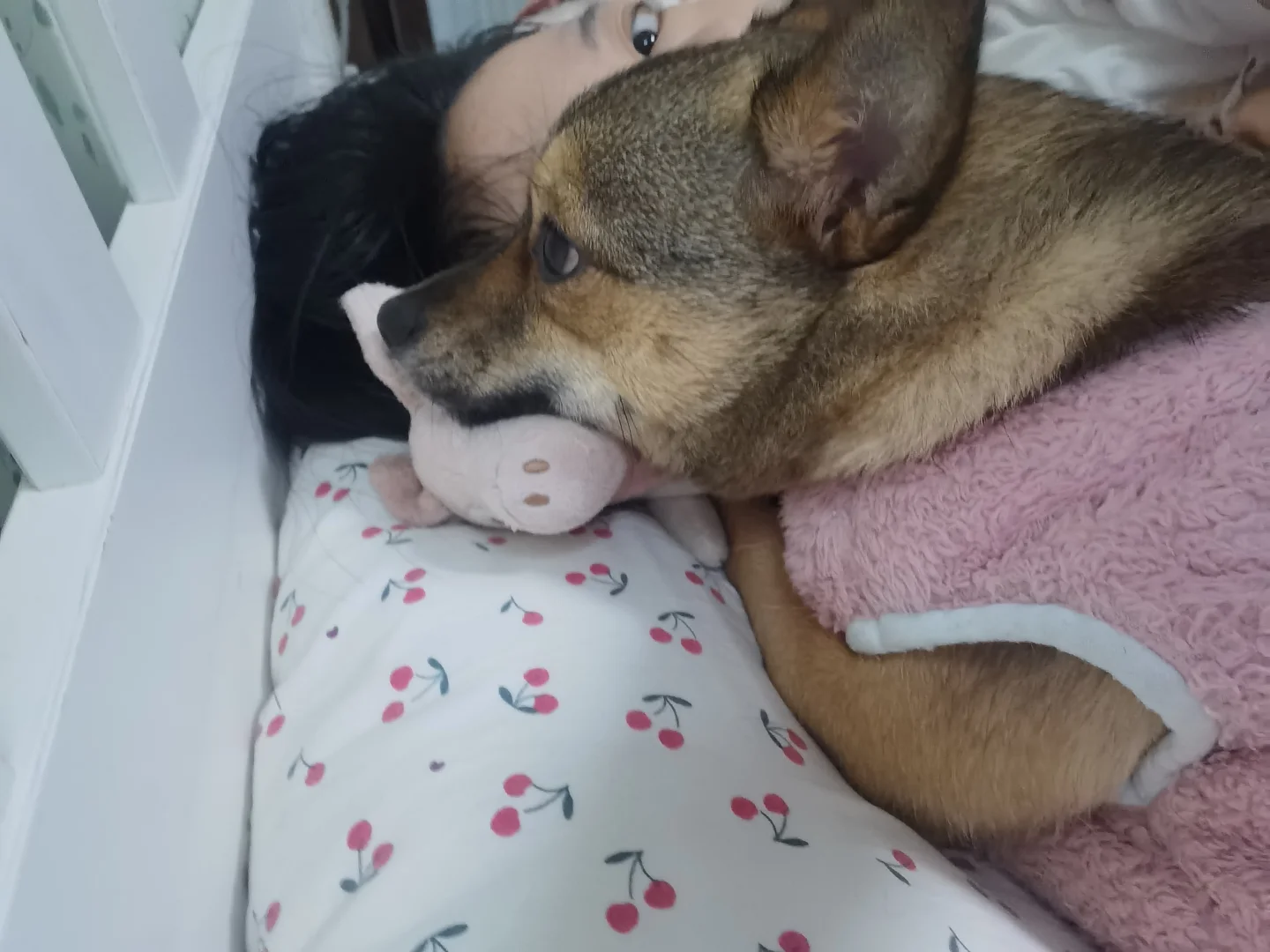 喊妈咪酱起床喊了半小时死活不起来