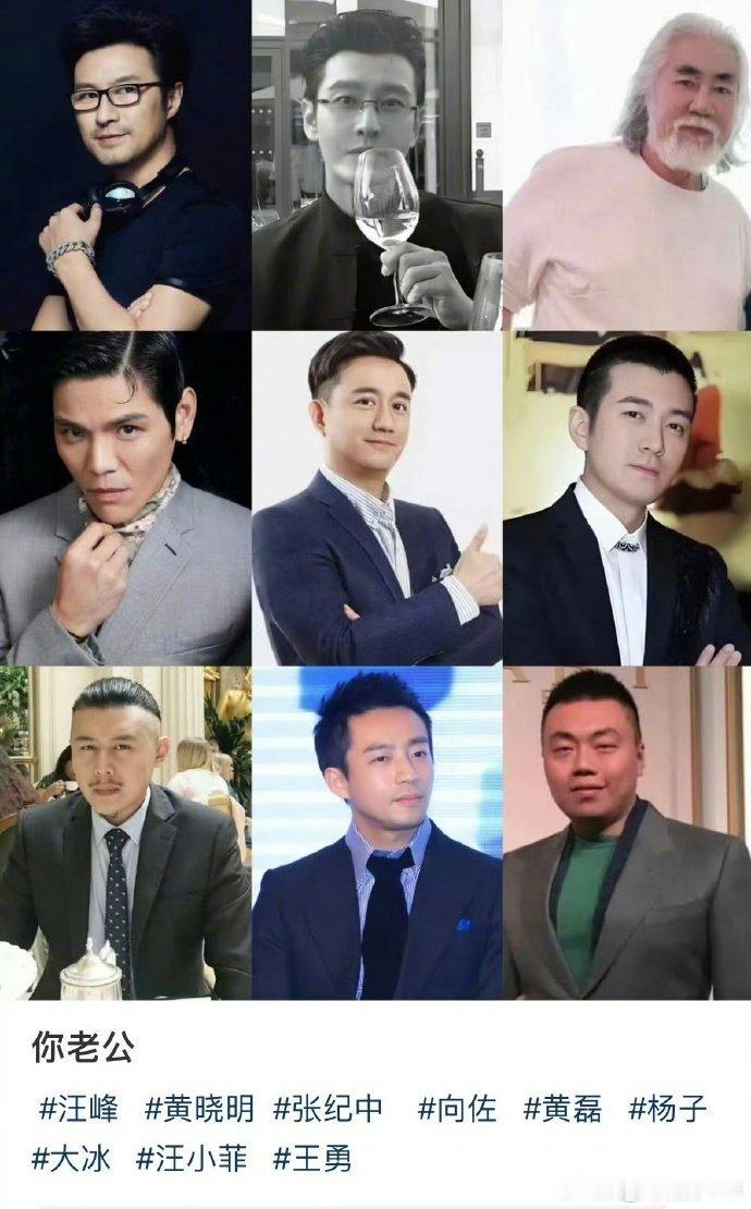九选一名单公布，黄晓明在列。汪峰、张纪中、向佐、黄磊、杨子、大冰、汪小菲、王勇也