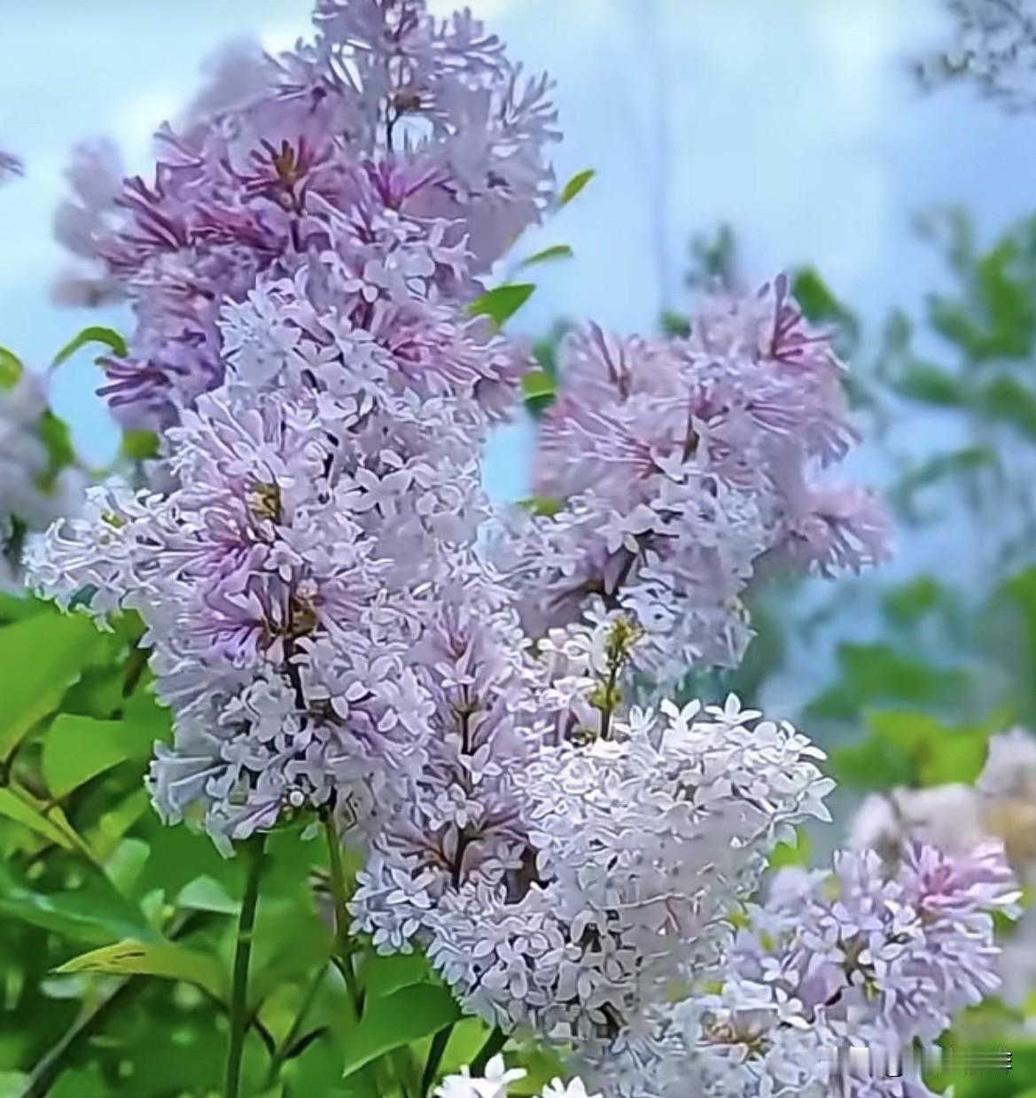 对下联原创
   上联：煮茶聊天地
   下联：听雨落闲情
          