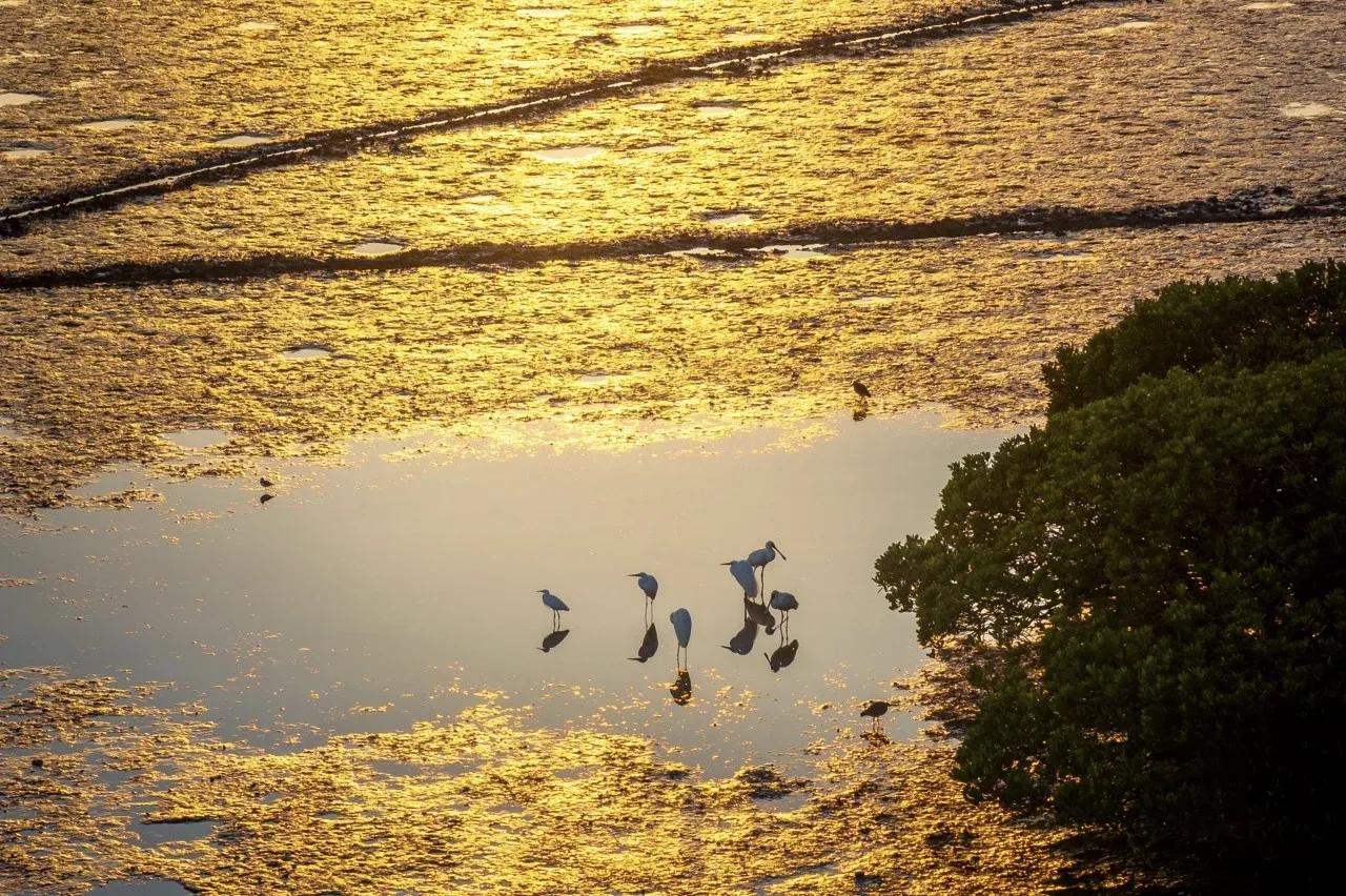 新闻知多点：国家林草局消息，近年来我国持续加强湿地生态保护修复，全国湿地面积位居