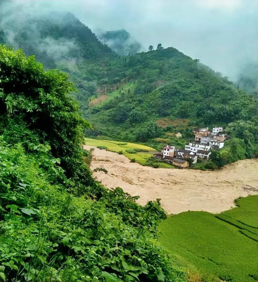 住这里不危险吗，如果是我早就搬走了。