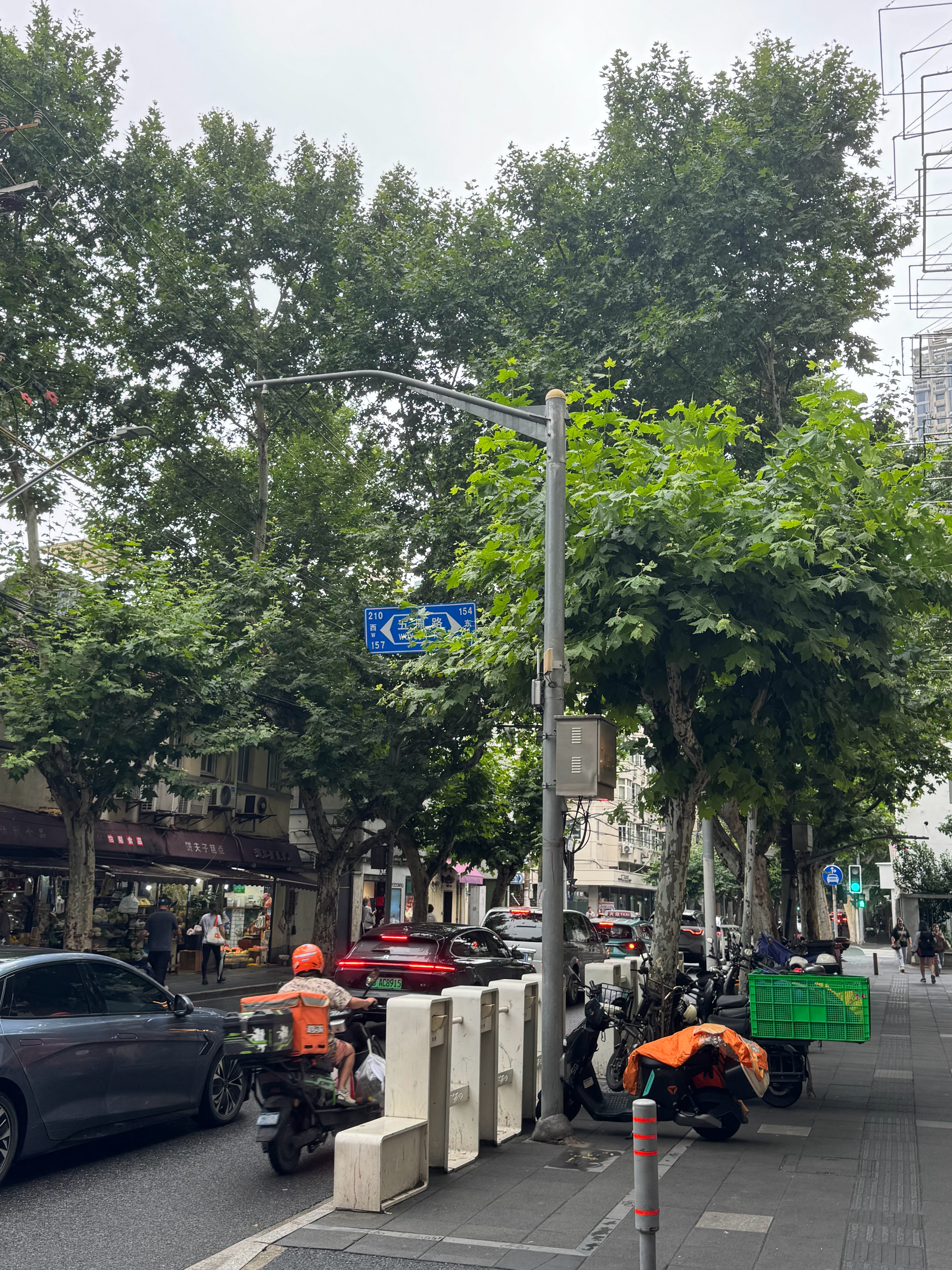 在上海的最后一天，凉爽的阴天想让人接着留下来了 