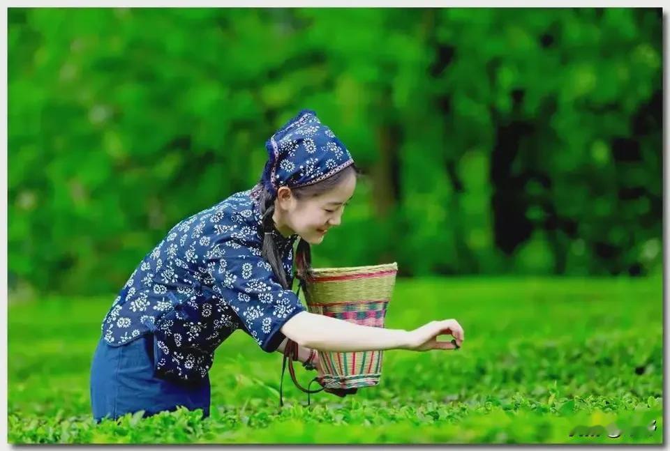 为什么现在好多女性选择单身？现在女姓经济独立，思想解放，外加自私，不愿意被孩子拖