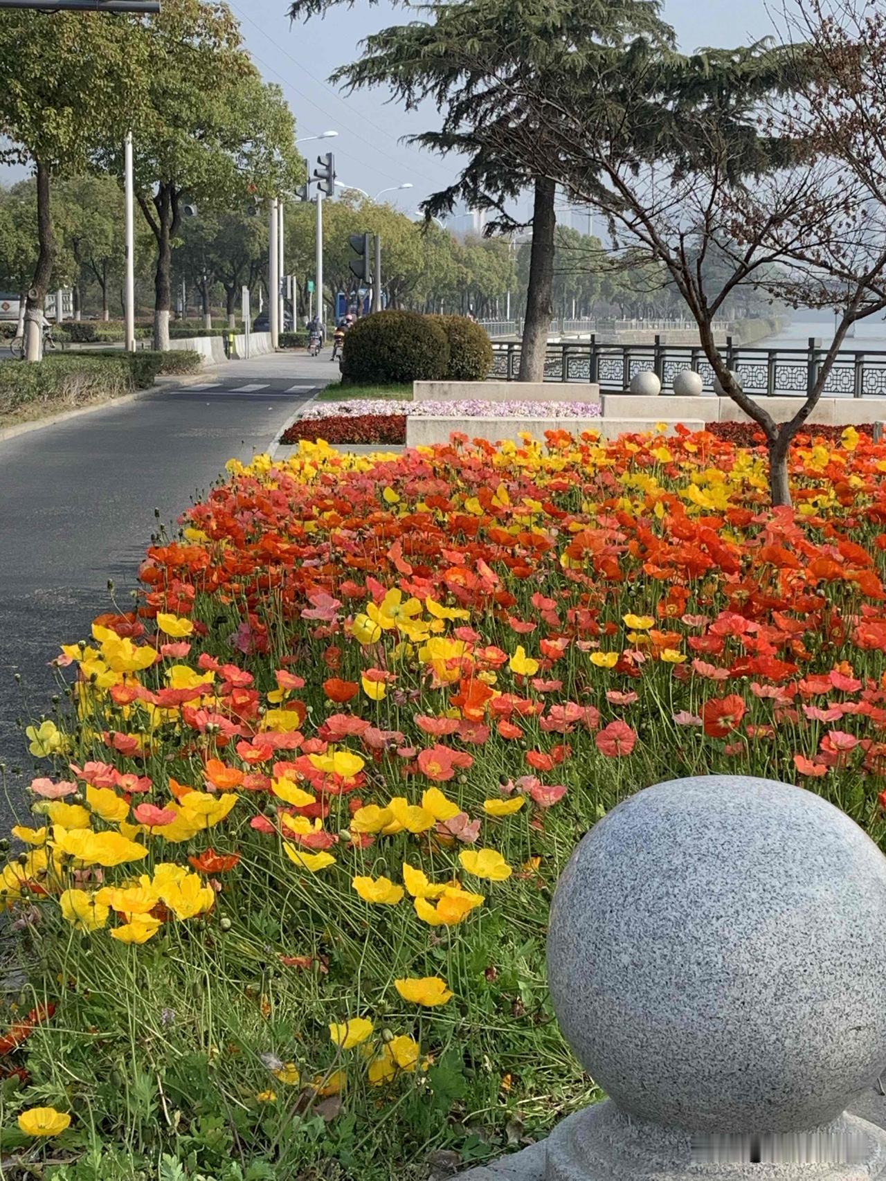 今天早上看到对门的华大哥，我说怎么段时间一直看你在家，他说不上班了．辞职了，I1