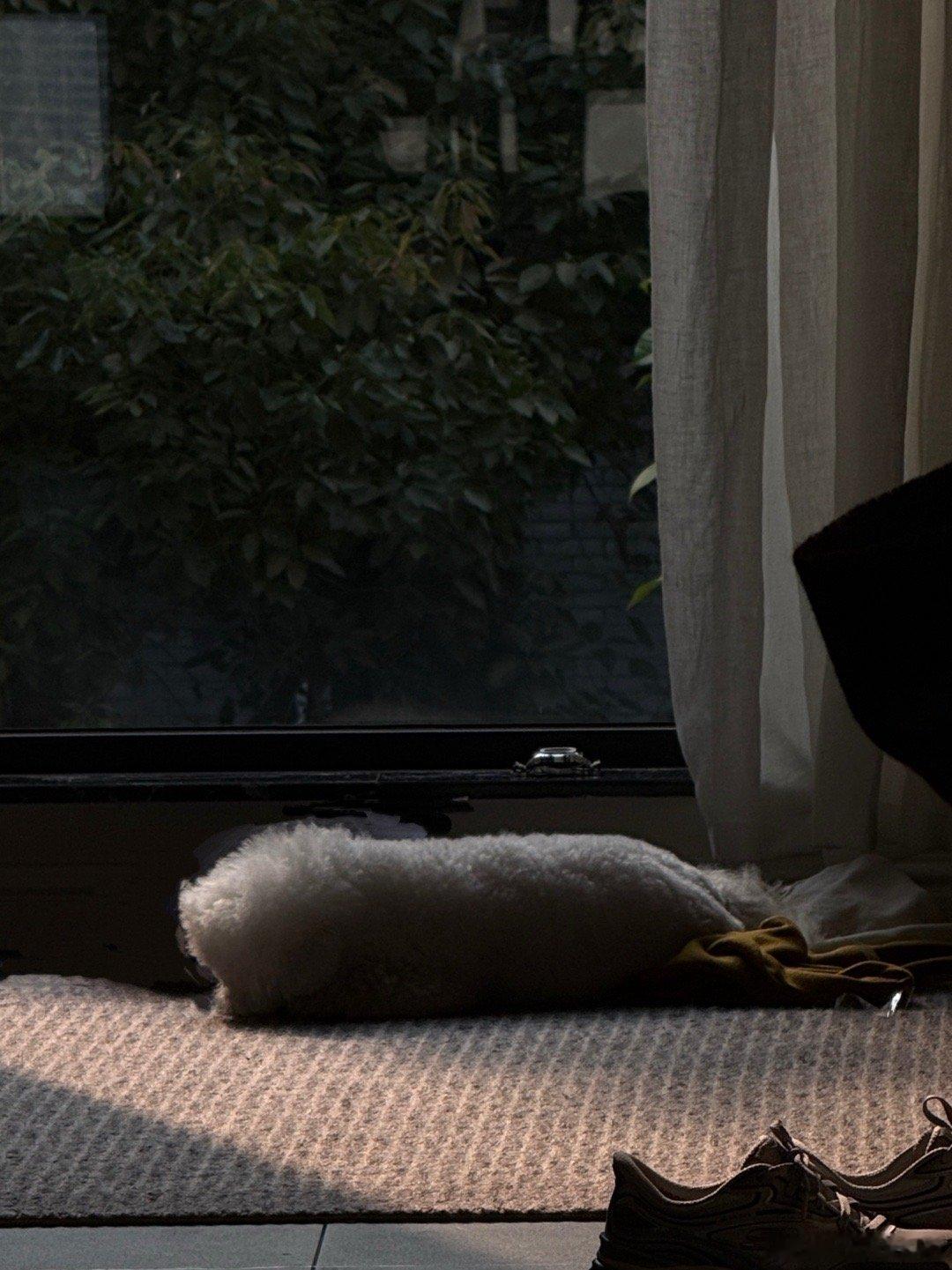 今天吃北海道吐司。 