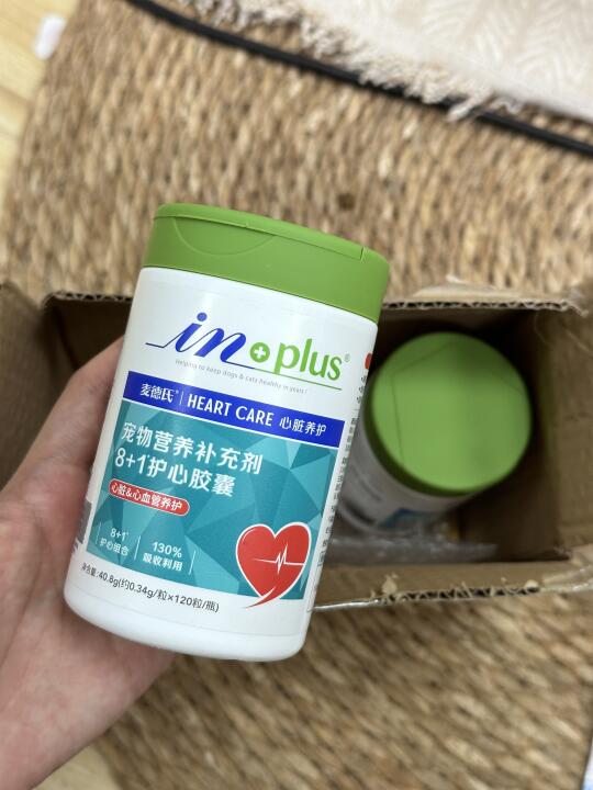 4岁猫咪坚持服用猫咪辅酶的感受