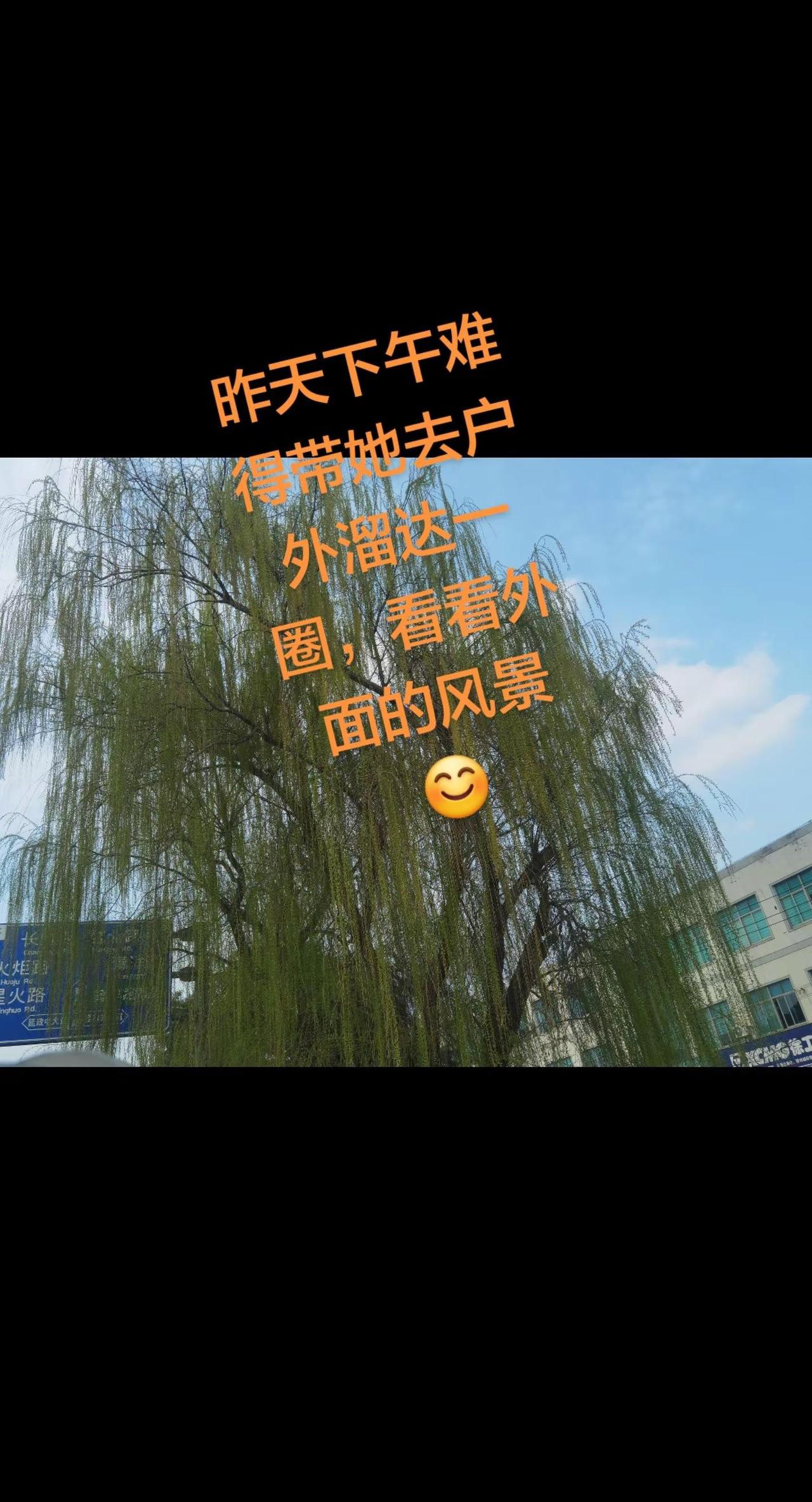 看看去年的今天比现在热一点，今天又是阴天还好没有下雨😊