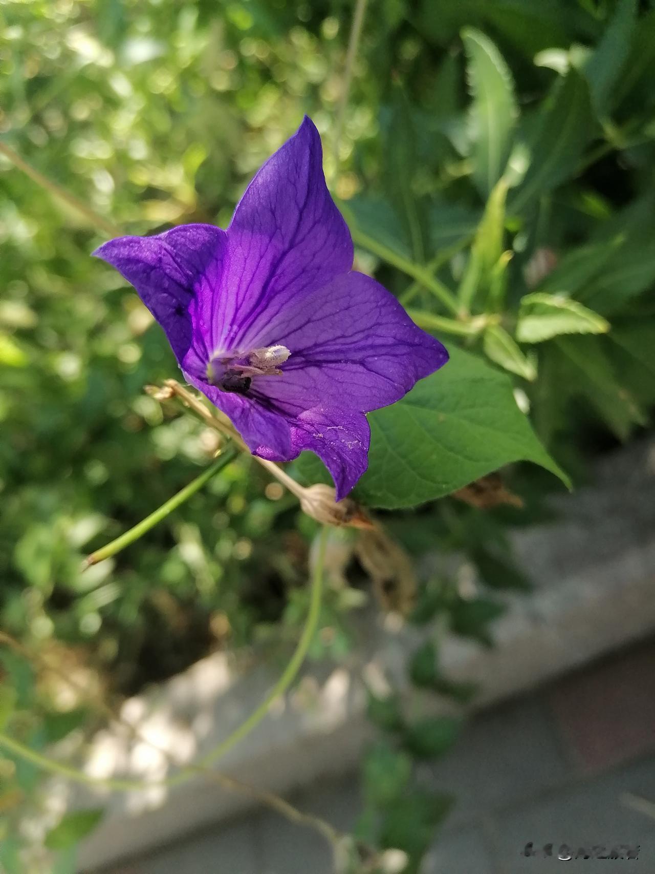 看一段采访王志文的视频，他说了一句话，印象深刻，他说我就想找一个能深度聊天的爱人