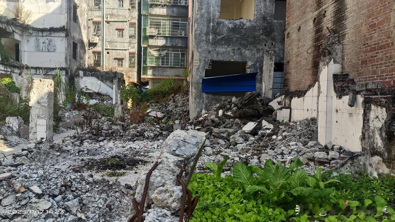 广州黄埔区赵溪村最新现状实拍，拍摄于2025.11.17/14:00
如今的赵溪