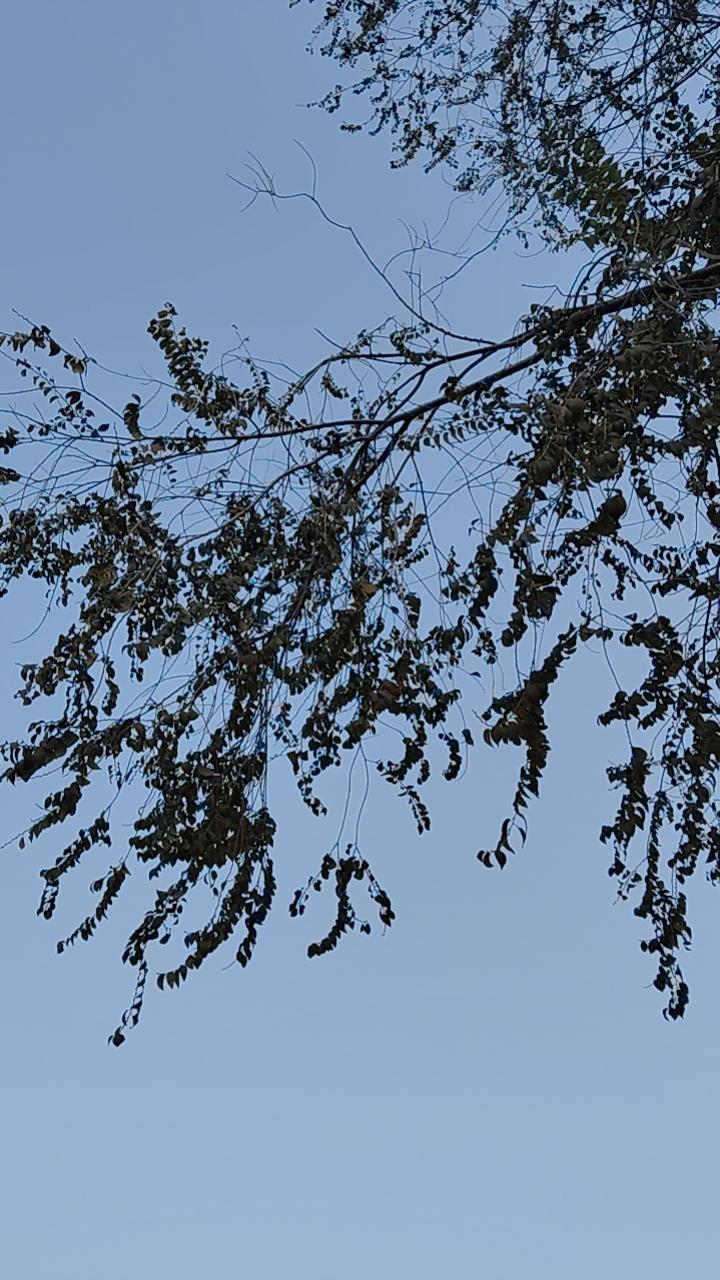 无欲则刚，有欲则疲，上了战场就拉垮，冲锋一次就投降，像不像中年的你？
朕有一计，