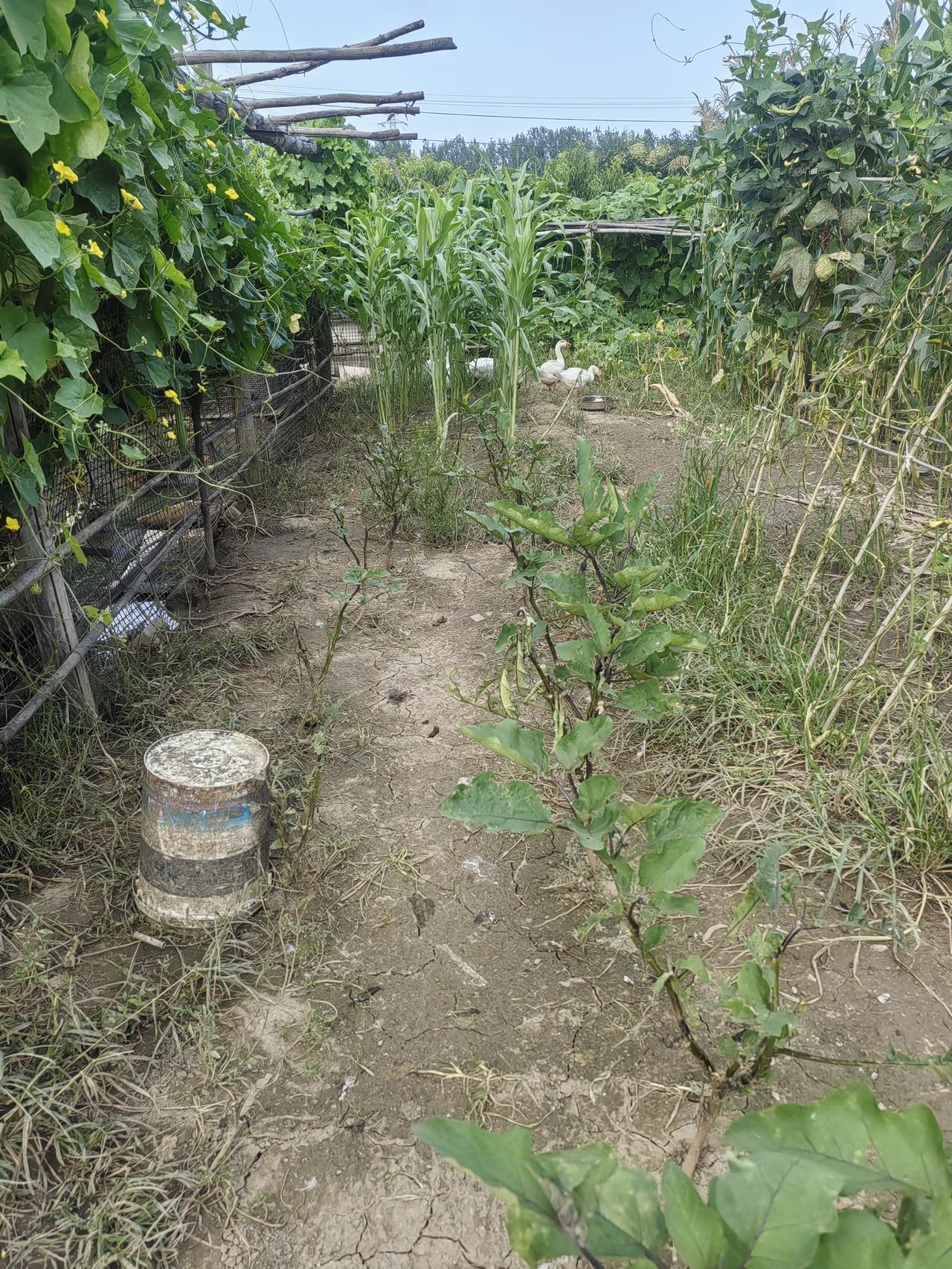 正在地里掰玉米呢，恒信家私售后来电话了。想让我自己花钱换一个岩板，连工费260元