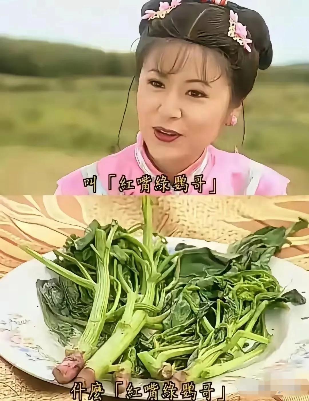 《还珠格格》大家肯定看过，记得里面有一桥段，乾隆率领阿哥，格格还有几个心腹大臣的