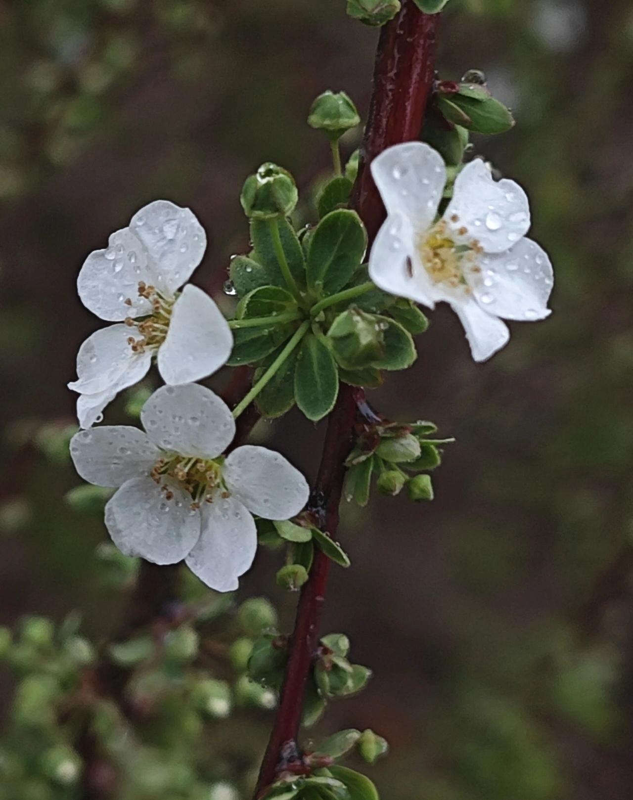 很多时候，我们之所以焦虑、疲惫、不快乐，是因为总忍不住去看别人的生活，羡慕别人的